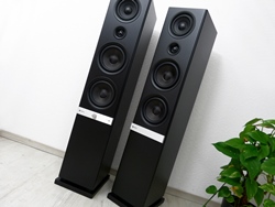 Raumfeld Stereo L 5