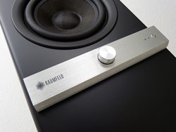 Raumfeld Stereo L 8