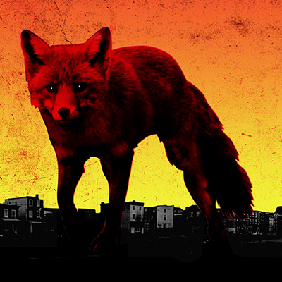 The Day Is My Enemy album cover