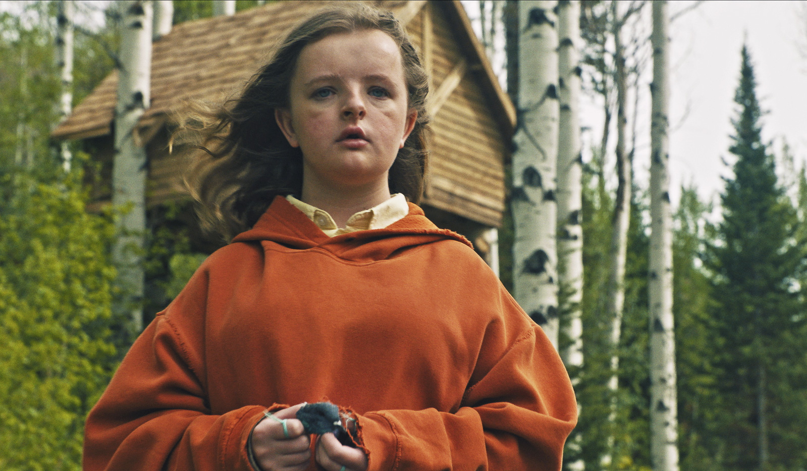hereditary das vermächtnis blu ray review szene 1 1
