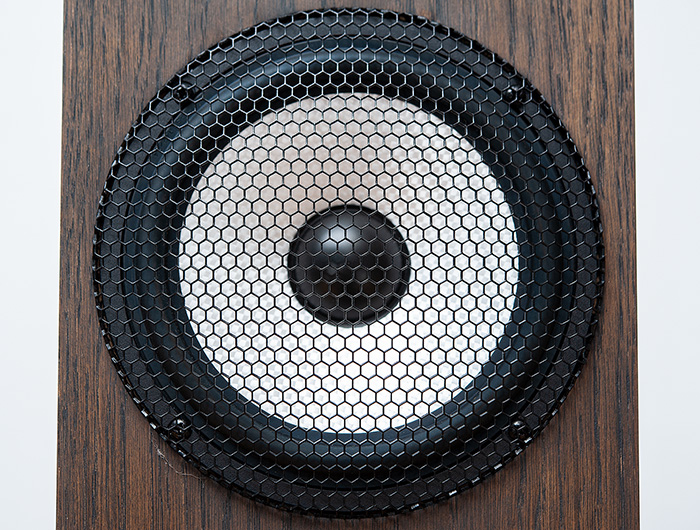 Pylon Audio Ruby 25 08k