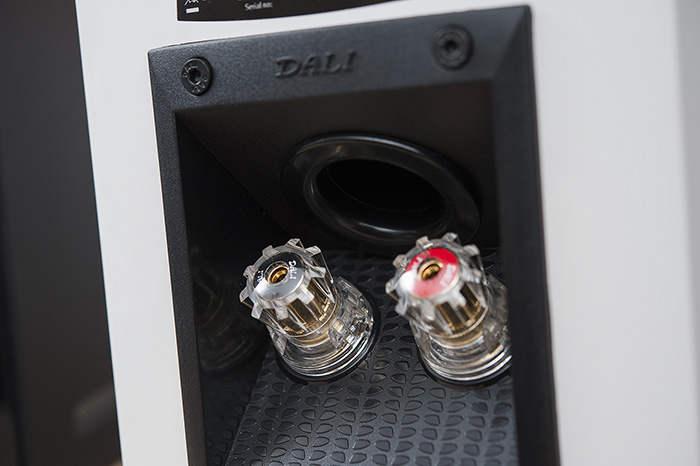 Dali Menuet 08k