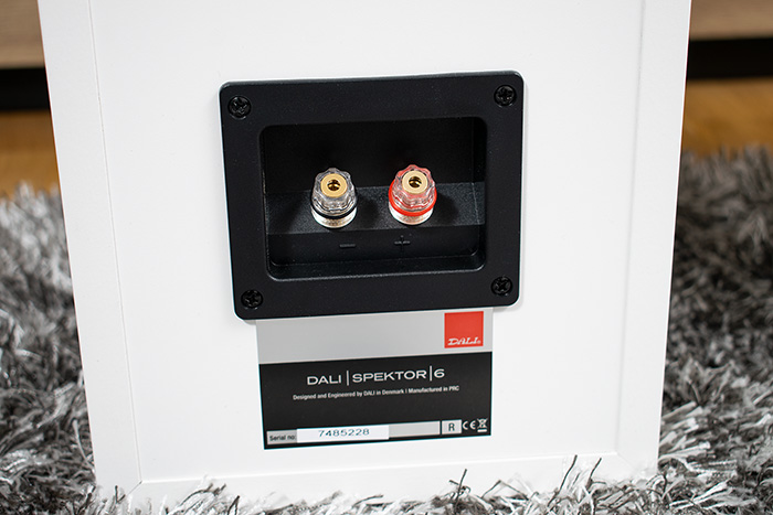 Dali Spektor 6 03k