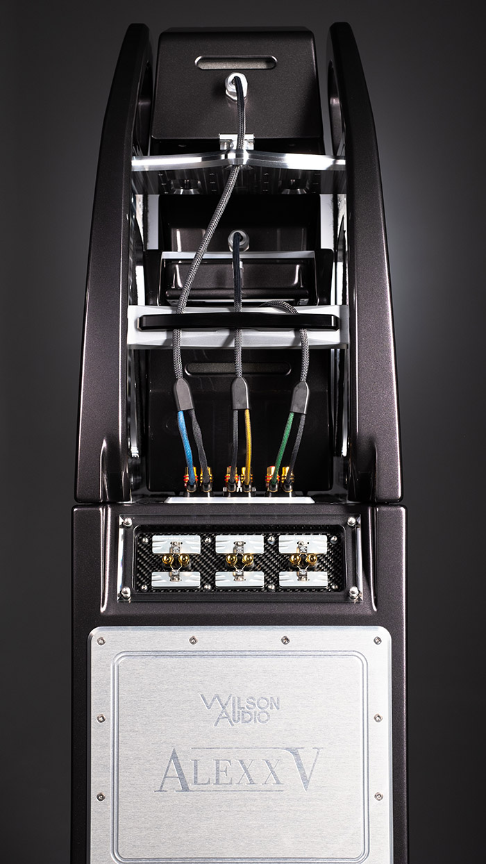 Wilson Audio Alexx V 5