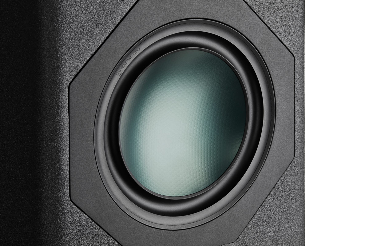 Monitor Audio 300 Driver Closeup