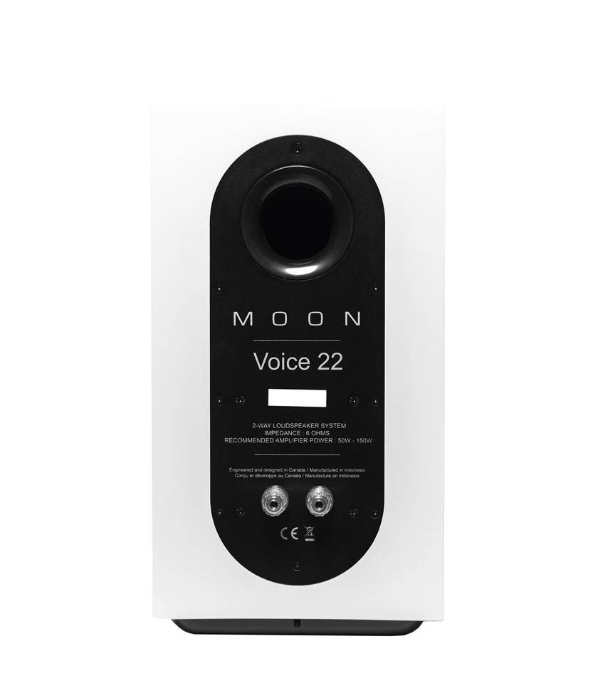 Moon Voice 5