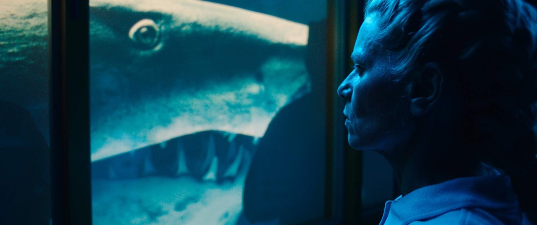 year of the shark blu ray review szene 5