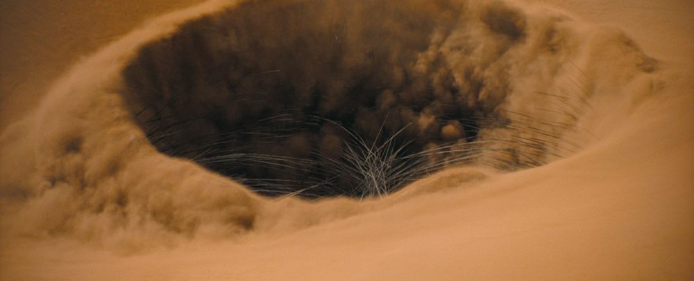 dune part two 4k uhd blu ray review szene 3