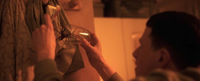spiders ihr biss ist der tod blu ray review szene007 scaled
