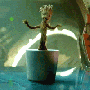 stonders Avatar