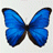 k.jobke@t-online.des Avatar