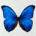 k.jobke@t-online.des Avatar